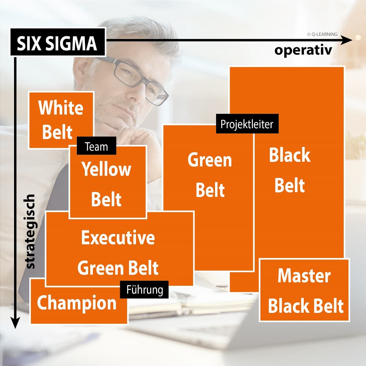 SIX SIGMA Rollen