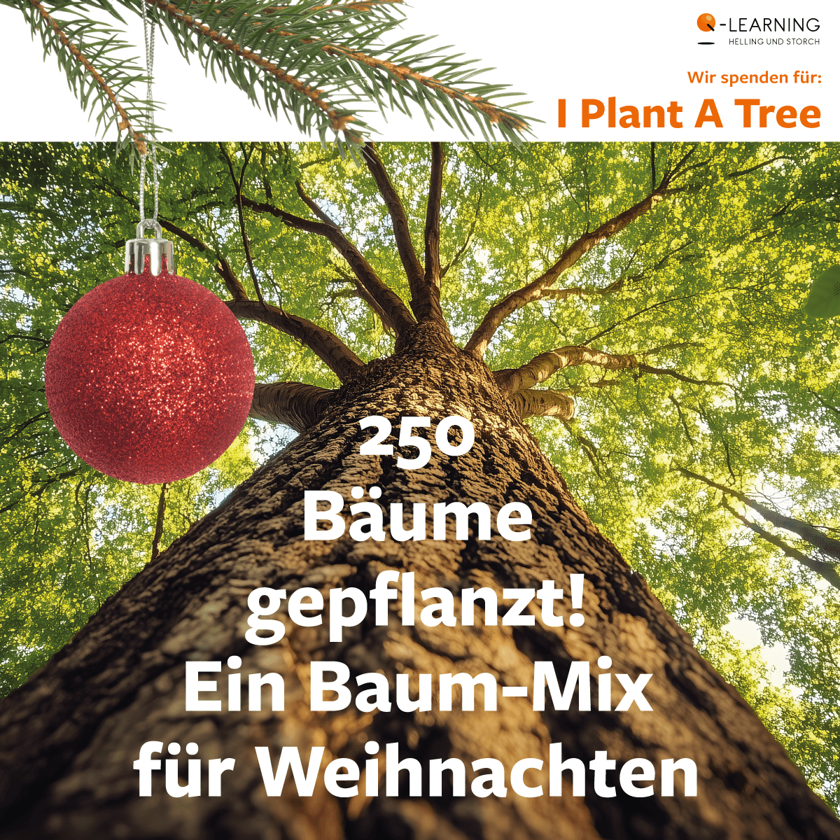 I Plant a Tree