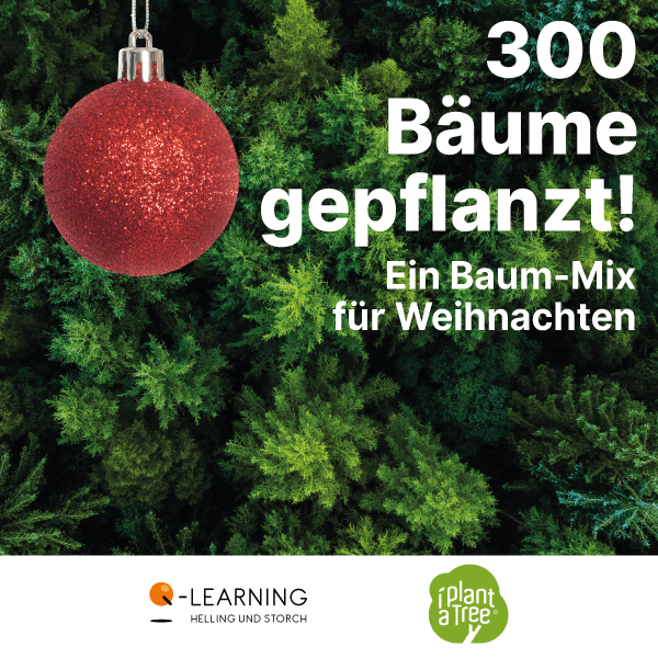 Ein Baum-Mix für Weihnachten