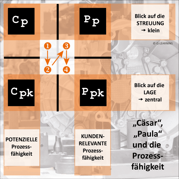 Prozessfaehigkeit