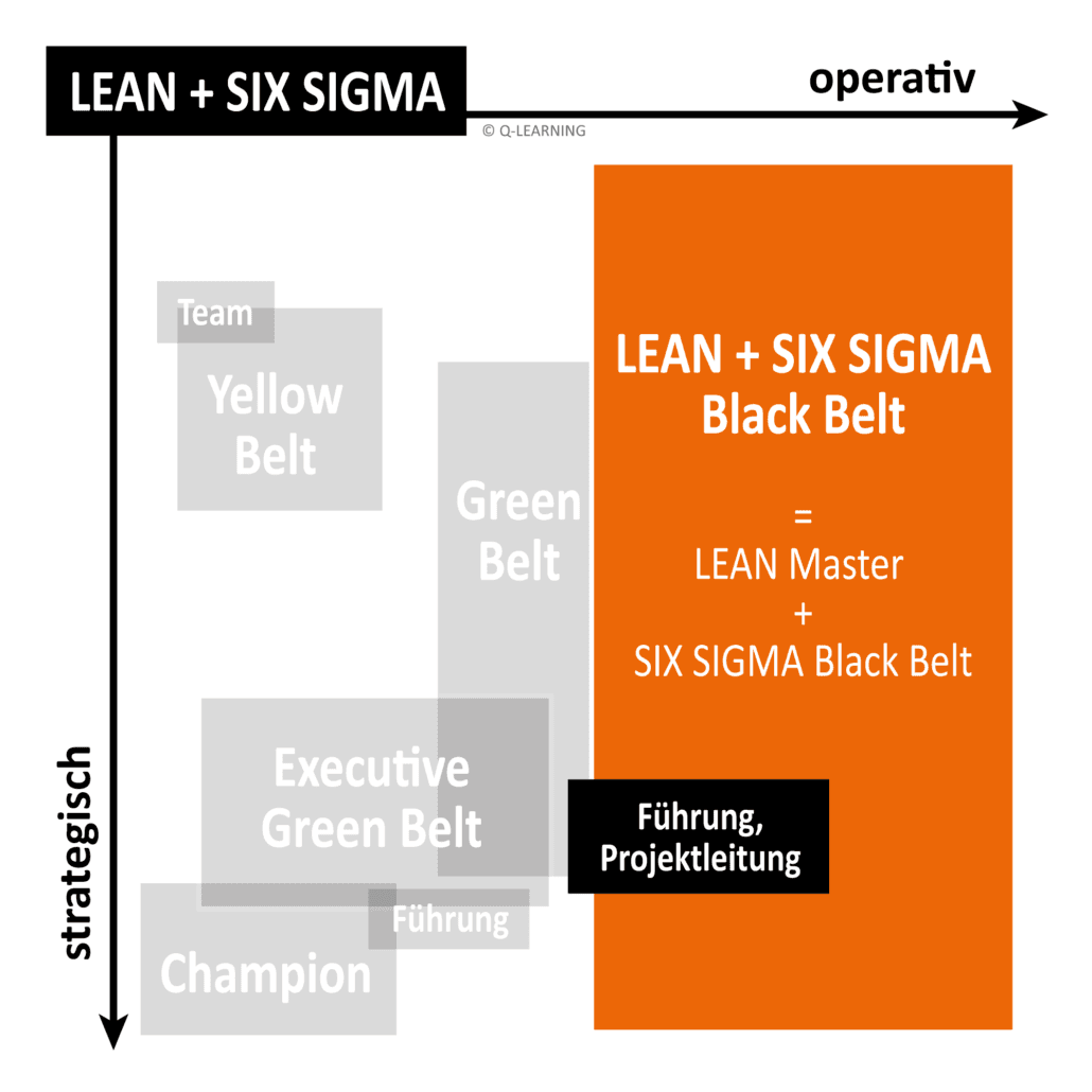 Flowchart illustrating Lean Six Sigma levels, from Yellow Belt to Black Belt, with emphasis on leadership and project management roles.