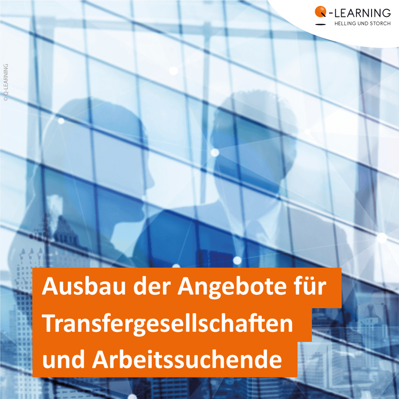 Transfergesellschaft