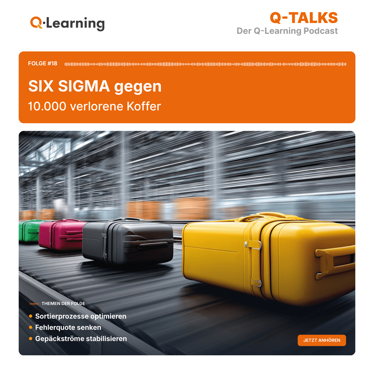 SIX SIGMA gegen 10.000 verlorene Koffer