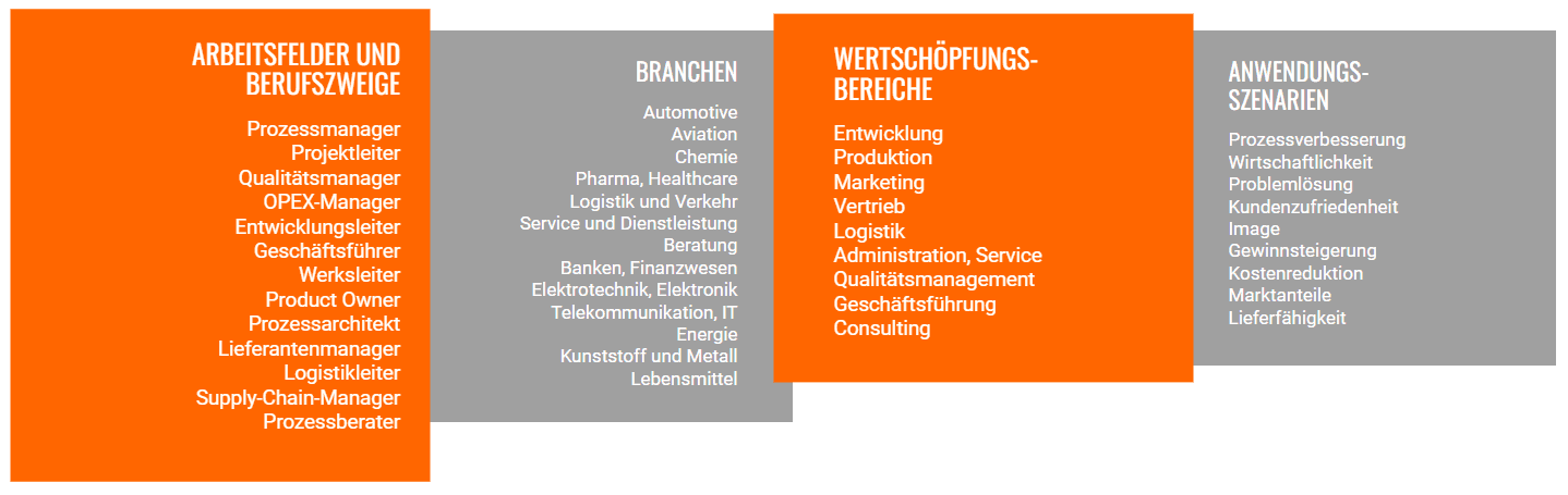 Arbeitsfelder, Berufszweige, Wertschöpfungsbereiche und Anwendungsszenarien bei Lean, Six Sigma, DFSS Black Belt