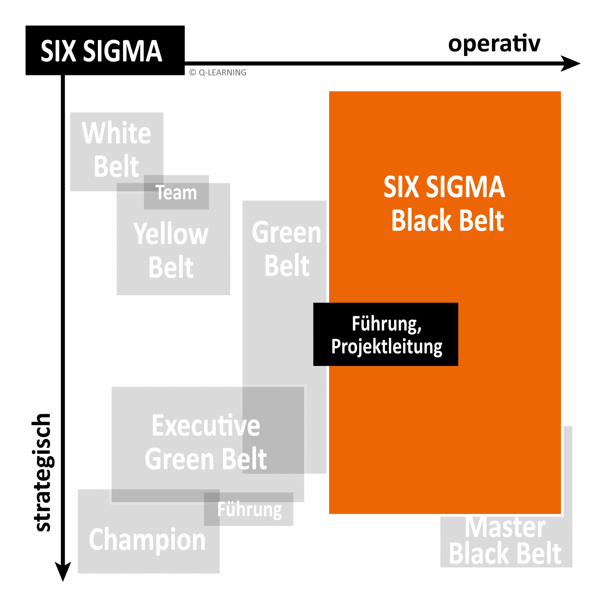Six Sigma Black Belt