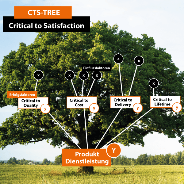 Mit dem CTS-Tree in die Prozesswelt einsteigen – der SIX SIGMA Clou