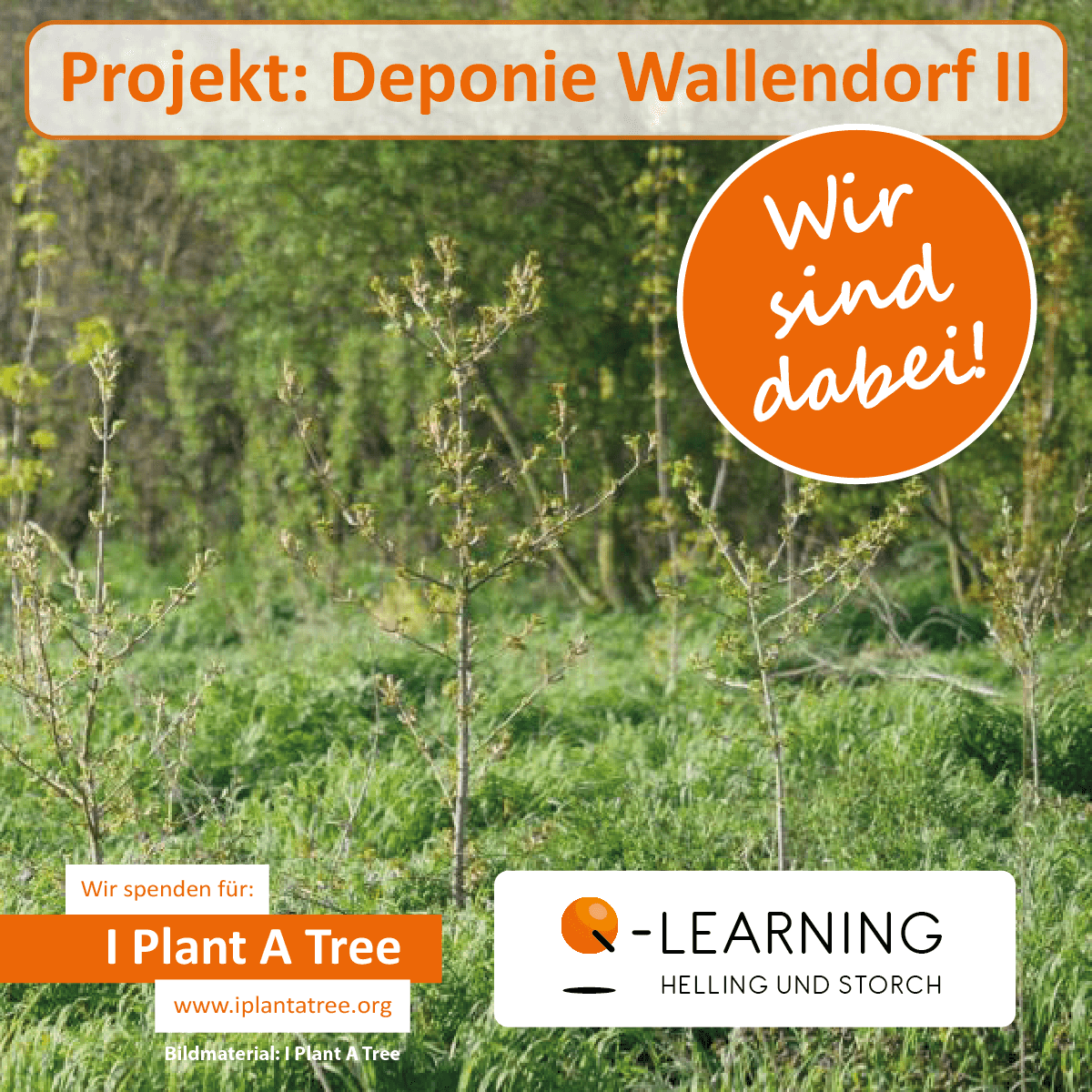 Q-LEARNING | I Plant A Tree Projekt Wallendorf II 2015