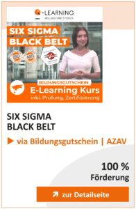 Produktbox SIX SIGMA Black Belt AZAV