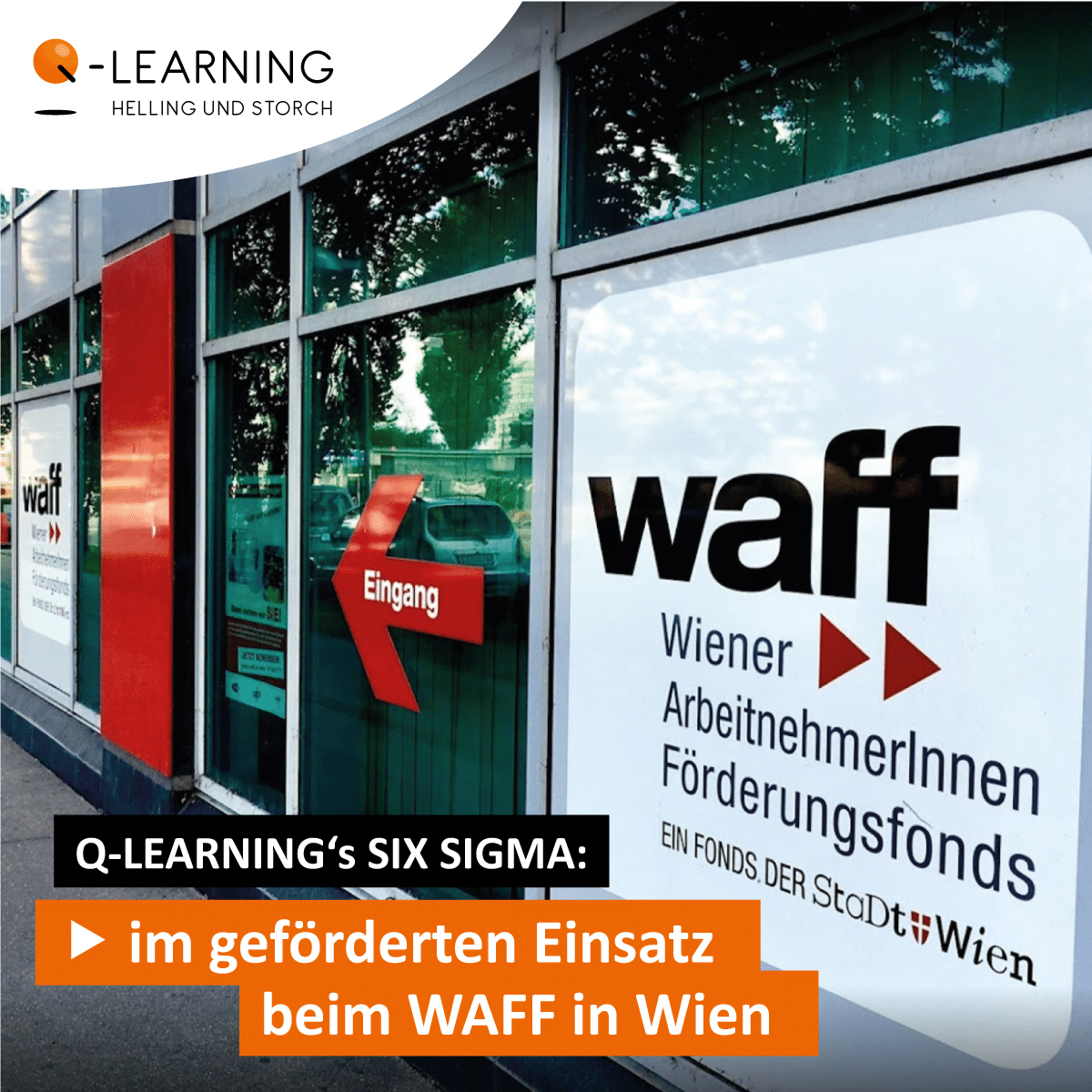 Q-LEARNING | Instagram | WAFF