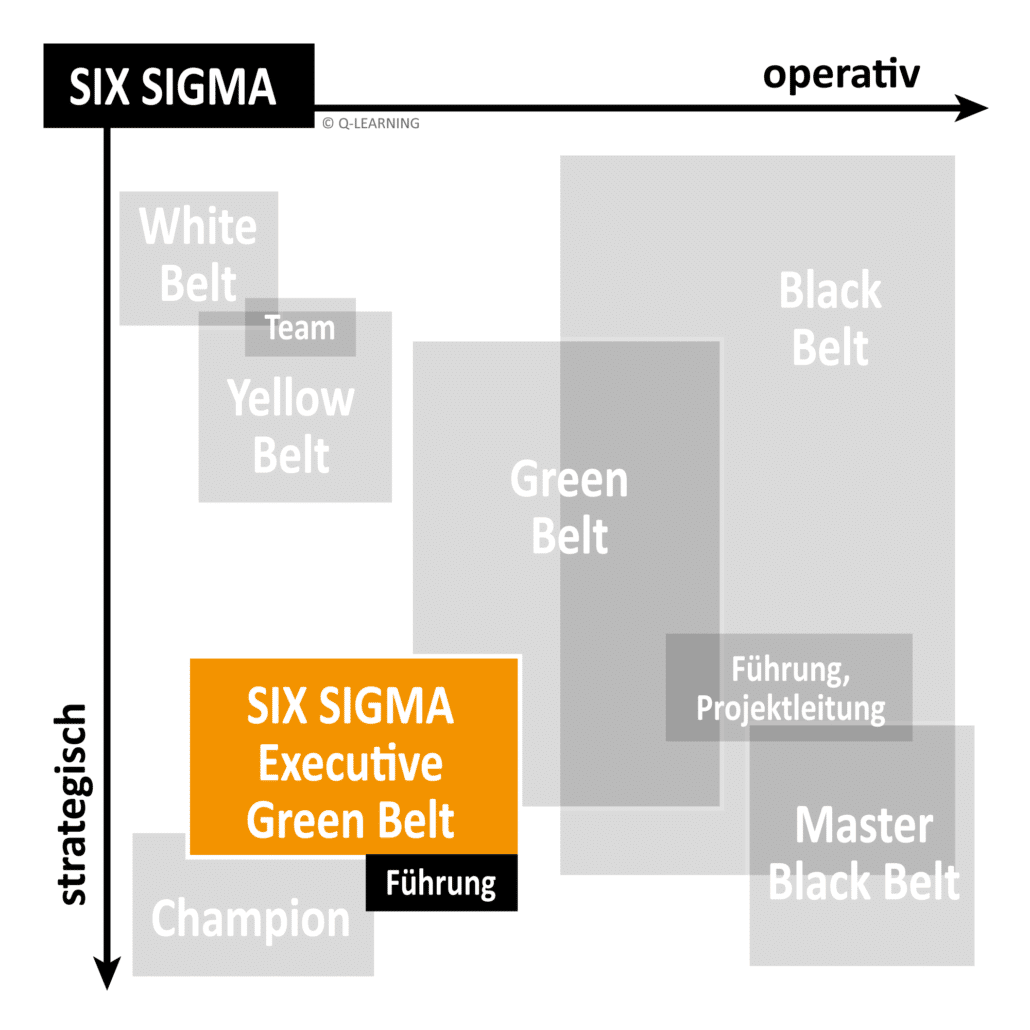 Grid SIX SIGMA Executive Green Belt